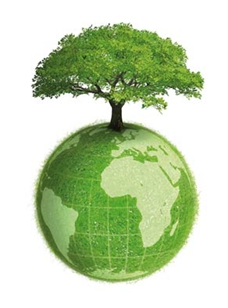 Planète Terre et environnement