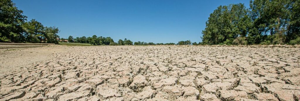 Terre craquelée sous l'effet de la sécheresse